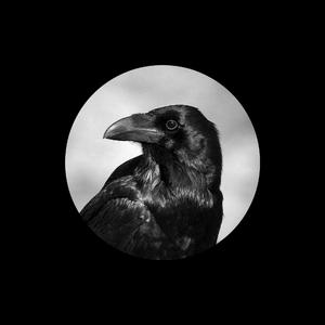 草莓视频下载导航
